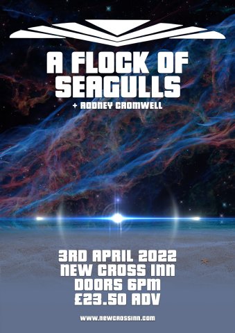 A Flock Of Seagulls