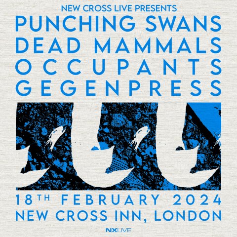 Punching Swans